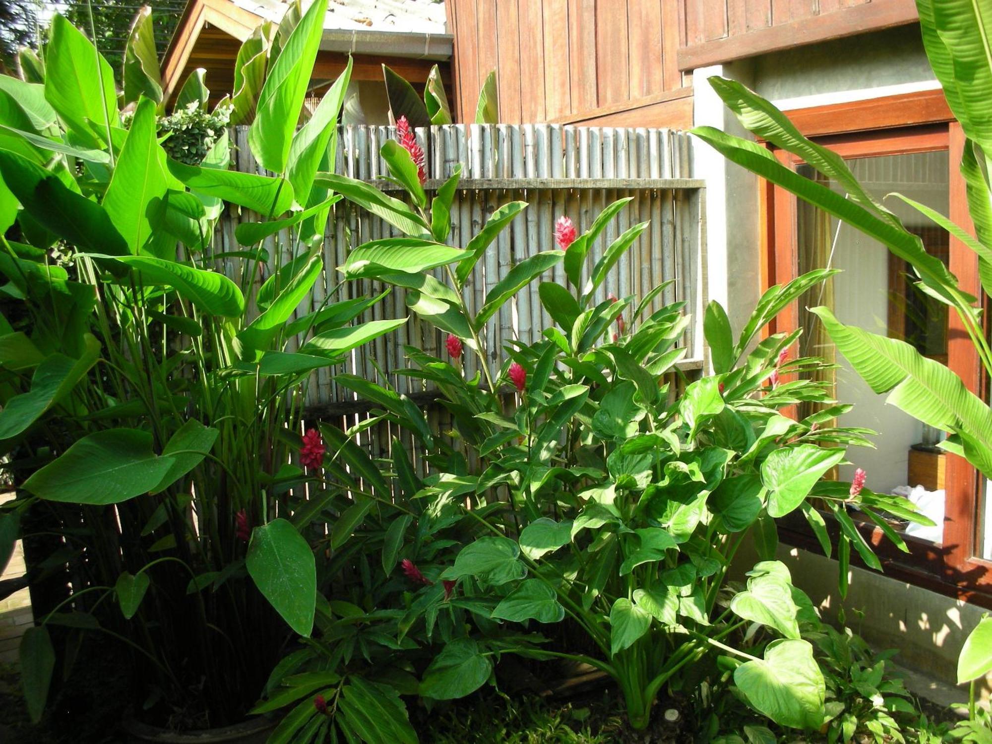 Chiang Maan Residence Chiang Mai Eksteriør bilde